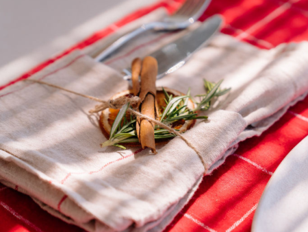 Napkins - Set of 2 - French Stripe For Sale