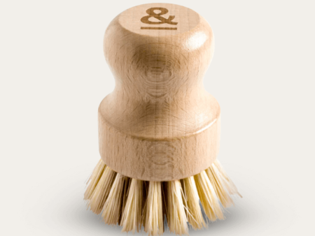 Pot Scrubber | Beechwood Hot on Sale