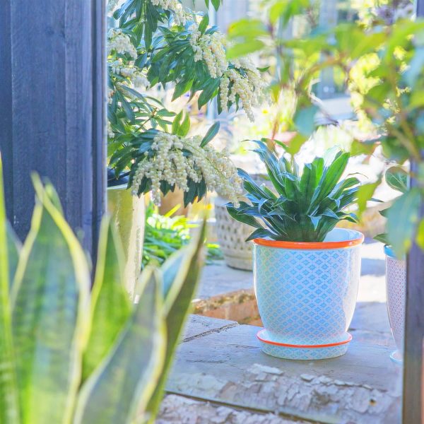 20cm Hand Printed China Plant Pot with Saucer - By Nicola Spring Discount