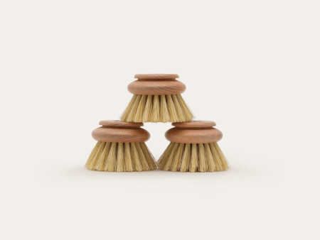 Dish Brush Head Replacement | 3pk Regular Sale