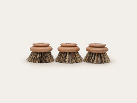 Dish Brush Head Replacement | 3pk Tough on Sale