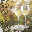 205ml Empire White Wine Glasses - Pack of 6 - By LAV Online Hot Sale