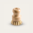 Pot Scrubber | Beechwood Hot on Sale