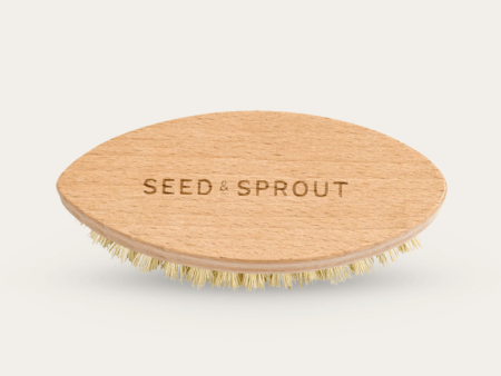 Vegetable Brush | Beechwood For Discount