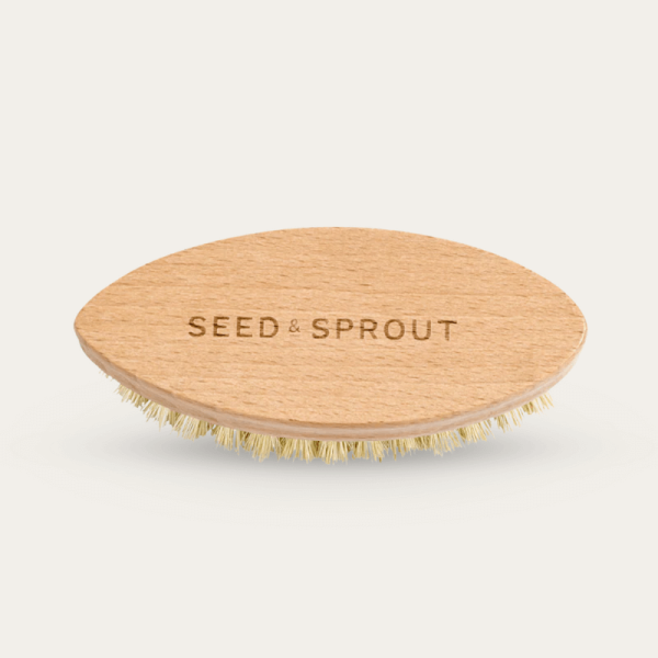 Vegetable Brush | Beechwood For Discount