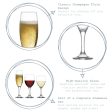 220ml Empire Champagne Flutes - Pack of Six - By LAV Fashion