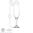 220ml Empire Champagne Flutes - Pack of Six - By LAV Fashion