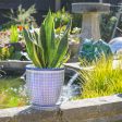 20cm Hand Printed China Plant Pot with Saucer - Pack of Three - By Nicola Spring Online Hot Sale