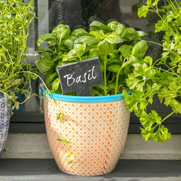 14cm Hand Printed China Plant Pot - By Nicola Spring Sale