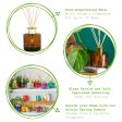 200ml Sandalwood & Jasmine Scented Reed Diffuser - By Nicola Spring Online now