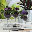 260ml Misket Red Wine Glasses - Pack of 6 - By LAV Discount