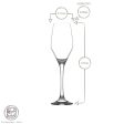 230ml Ella Glass Champagne Flutes - Pack of Six - By LAV on Sale